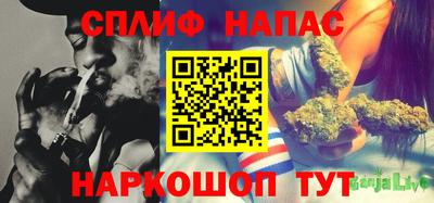 ГАЛЛЮЦИНОГЕННЫЕ ГРИБЫ Новозыбков
