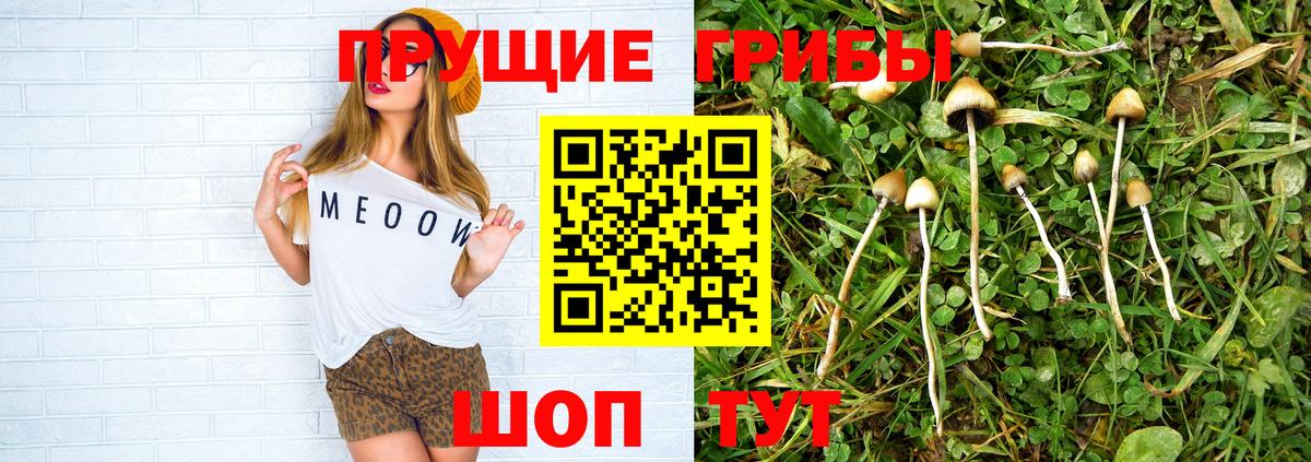 Уварово  Галлюциногенные грибы прущие грибы  Вход с VPN  Галлюциногенные грибы ЛСД 